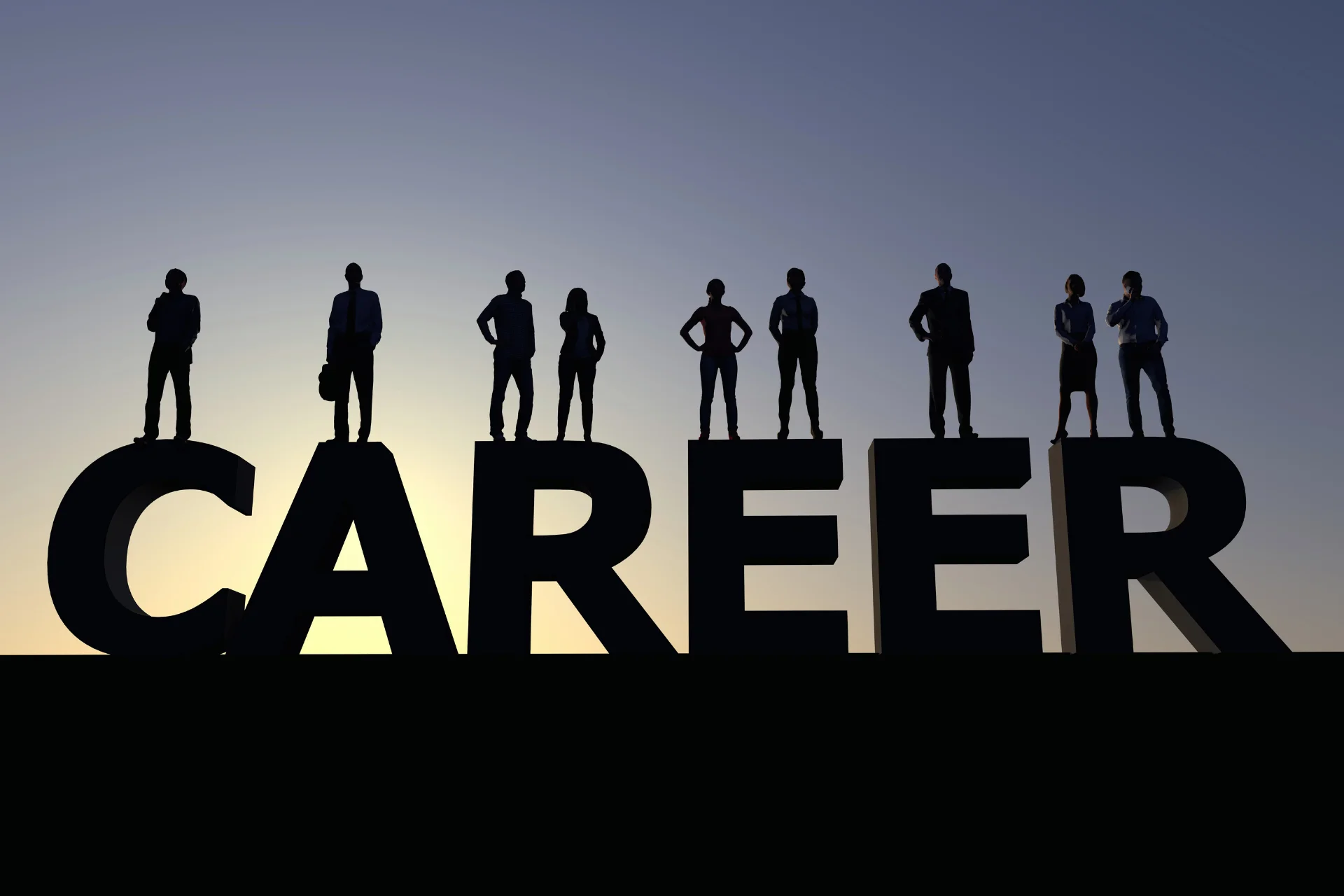 Career
